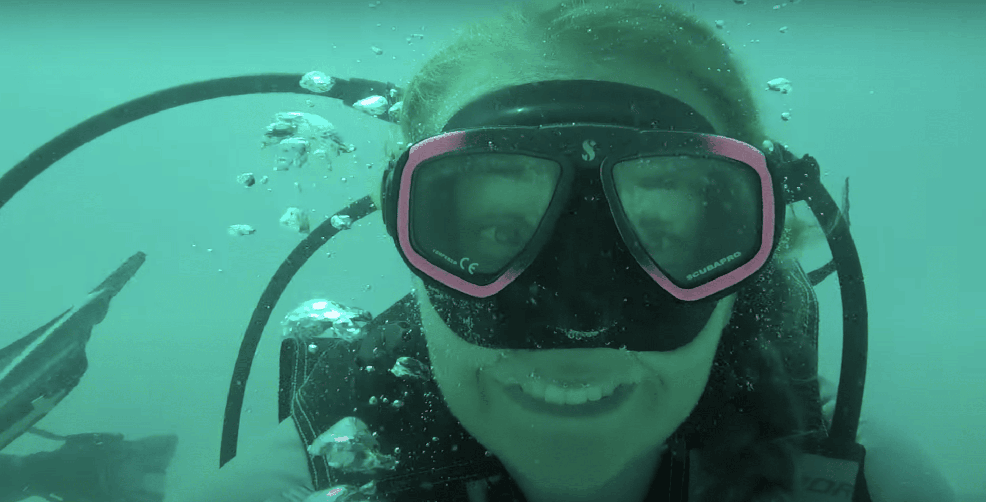 Discover the World with TEFL 🌍