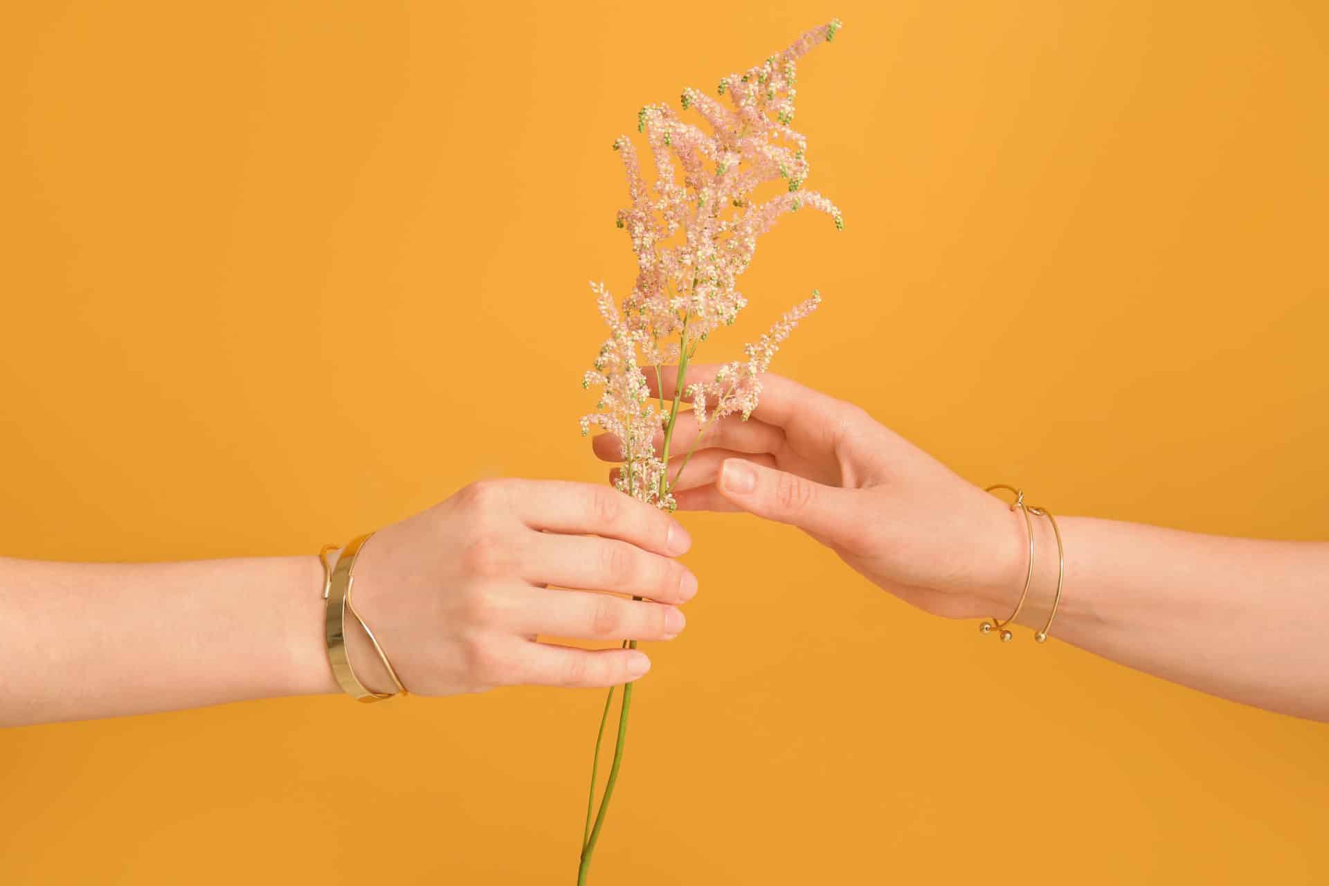 AdobeStock 374138204