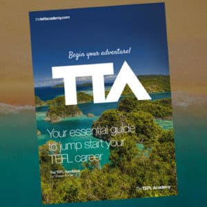 Front cover of The TEFL Handbook