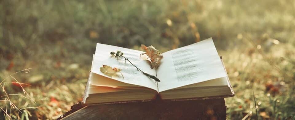 AdobeStock 125664283 965x643 e1643707083819